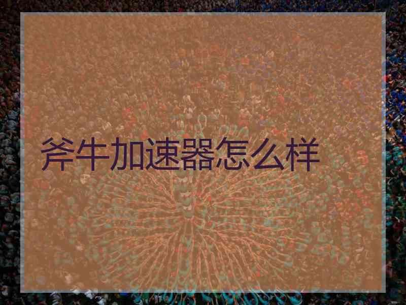 斧牛加速器怎么样