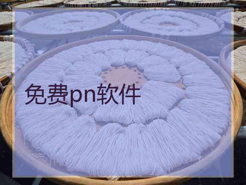 免费pn软件